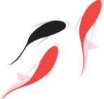 chuwi chuwi
