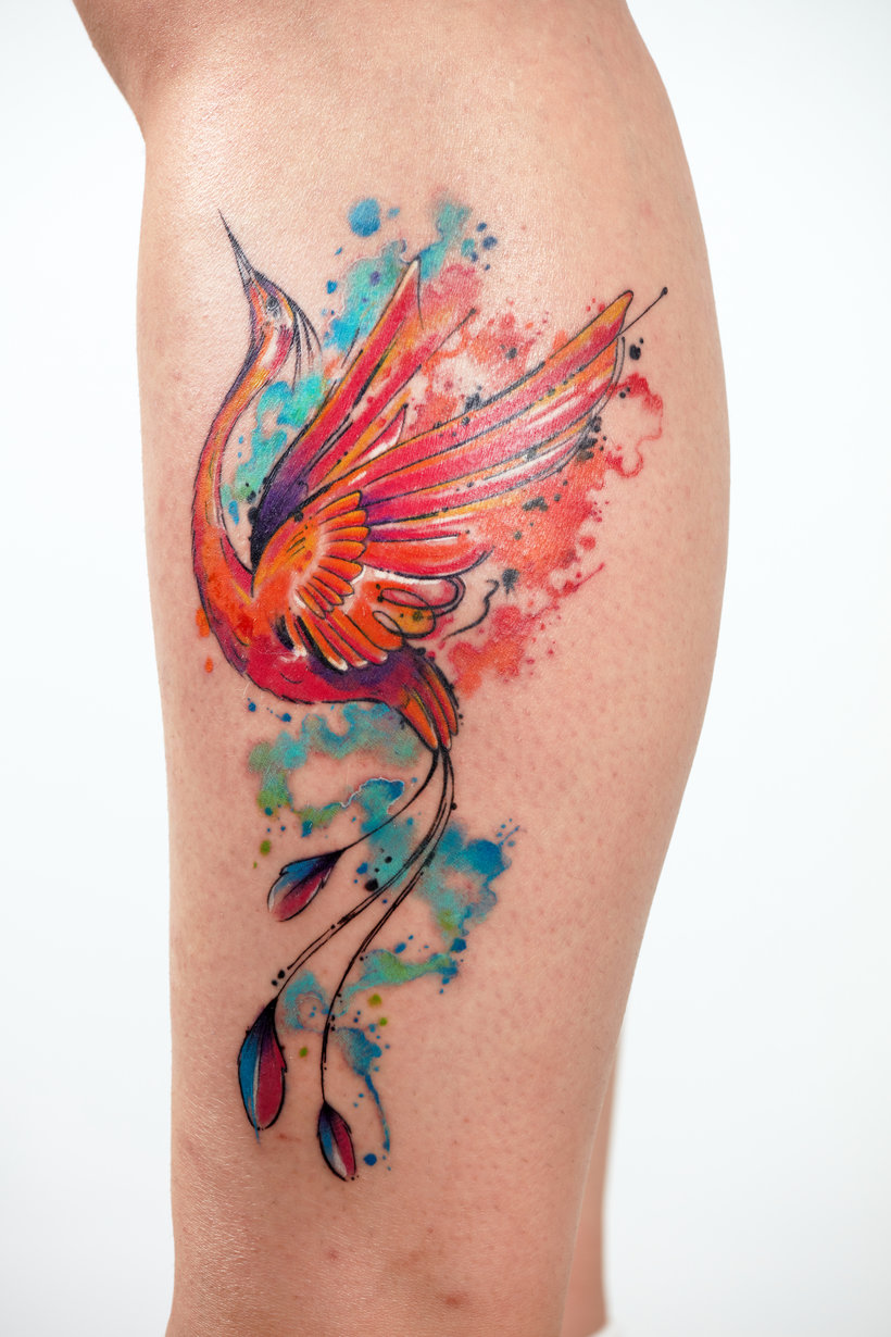 Tattoo uploaded by Stacie Mayer • Lilac breasted roller bird tattoo by June  Jung. #watercolor #sketch #illustrative #abstract #bird #rollerbird  #JuneJung • Tattoodo